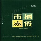 栖霞市志（1985-1999）2001版 PDF下载