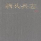 浙江省洞头县志PDF下载