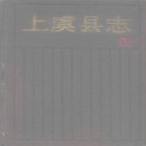 上虞县志 1990版 PDF下载