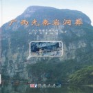 广西先秦岩洞葬 PDF下载