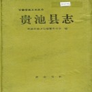 贵池县志 PDF下载