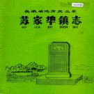 苏家埠镇志 PDF下载