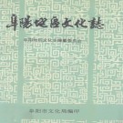 阜阳地区文化志 PDF下载