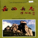 岳西县志 PDF下载