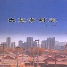 北京市朝阳区大望京村志 PDF下载