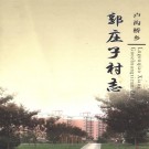 北京市卢沟桥乡郭庄子村志 PDF下载