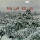 狮城镇志 PDF下载