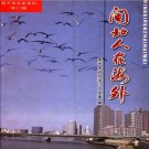 闽北人在海外 PDF下载