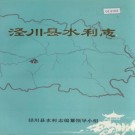 泾川县水利志 PDF下载