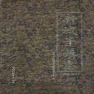 新城子镇志(1986-2005)PDF下载