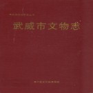武威市文物志 PDF下载